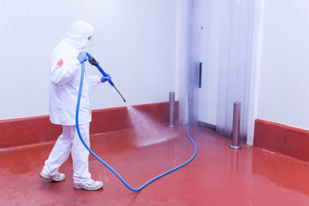Paint Preparation in Hartford, WI